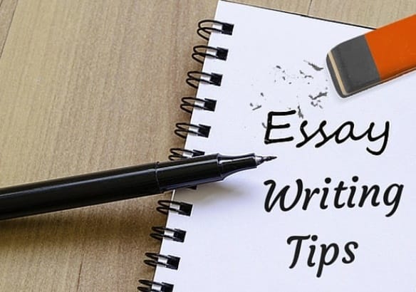 Essay plan writing