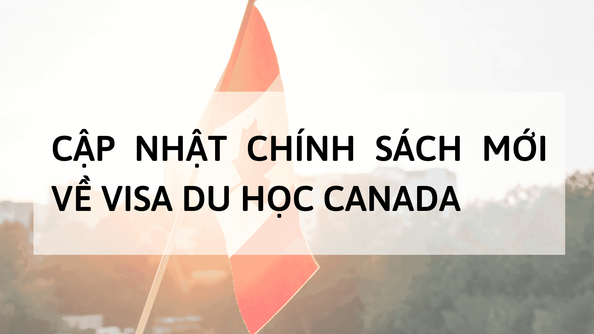 Cập nhật chính sách mới về visa du học Canada