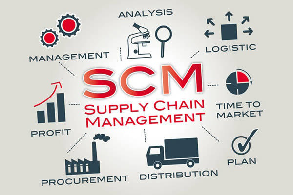 Supply Chain Management gồm những hoạt động gì