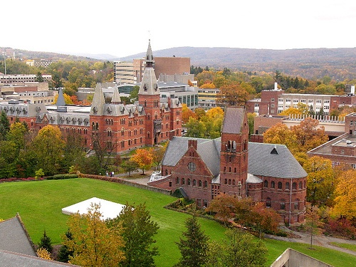 Đại học Cornell – Thành viên trẻ nhất trong nhóm Ivy League