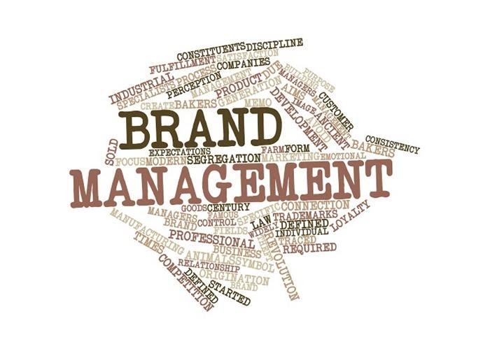 ngành brand management