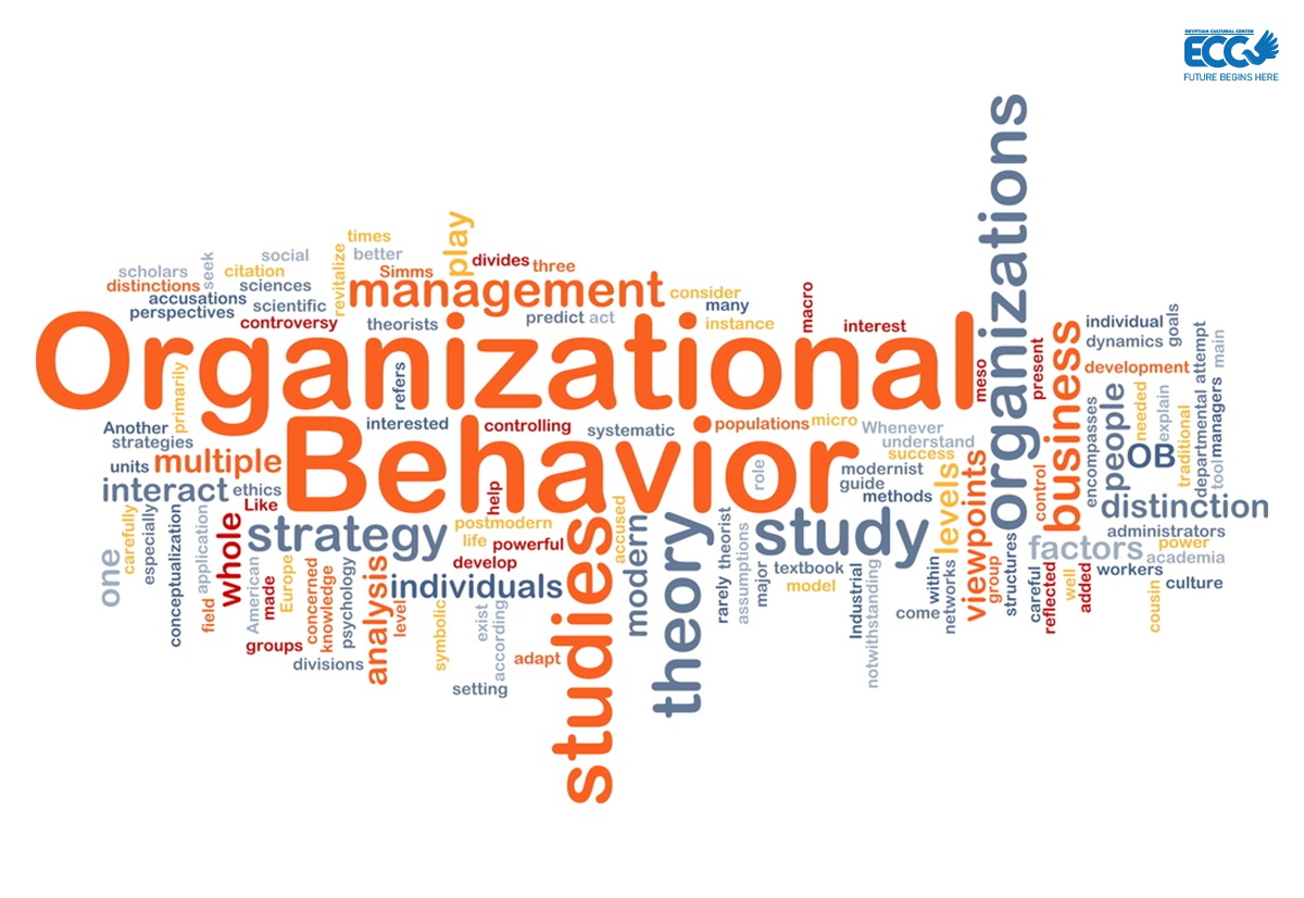 Organizational Behavior in Business