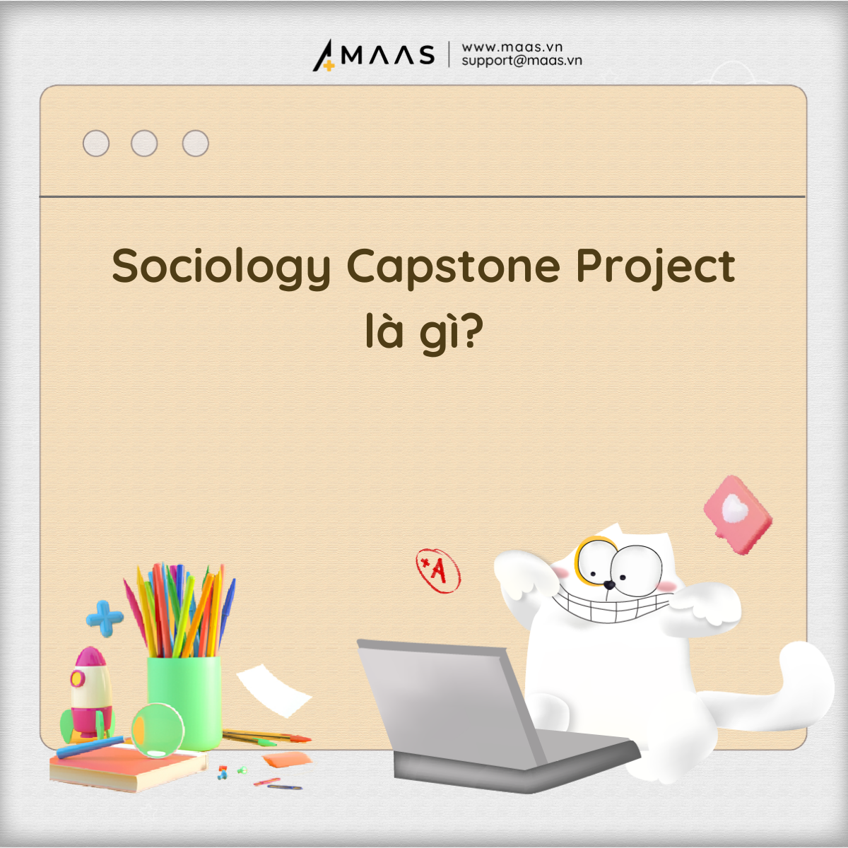 Sociology Capstone Project