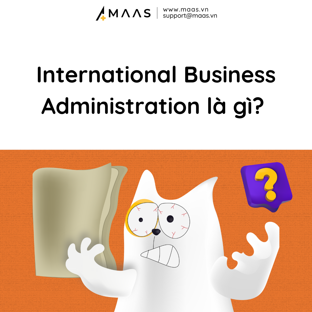 International Business Administration