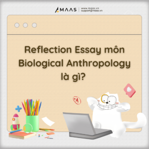 Biological Anthropology