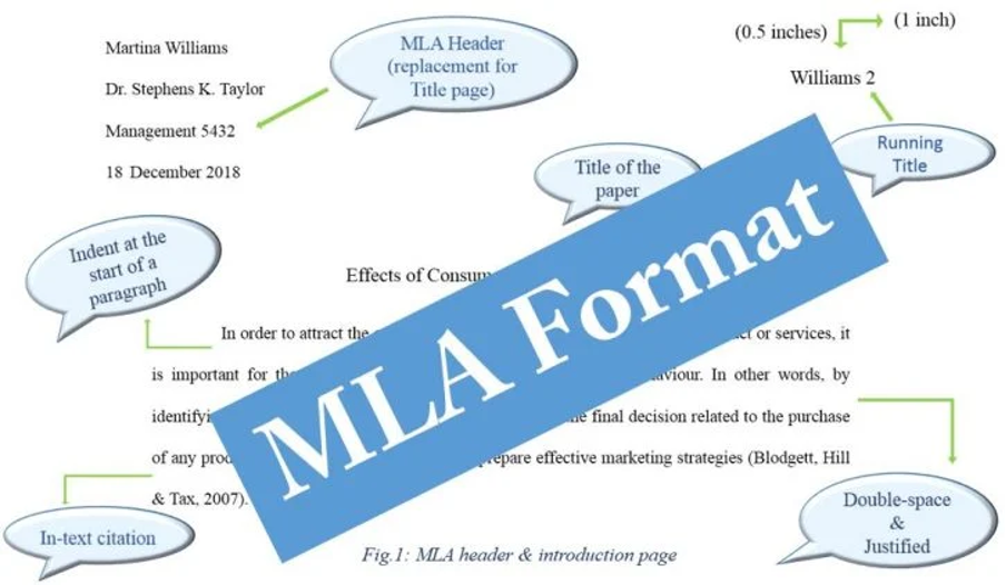 MLA citation format là cách trích nguồn được sử dụng phổ biến trong lĩnh vực học thuật