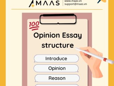 Opinion Essay