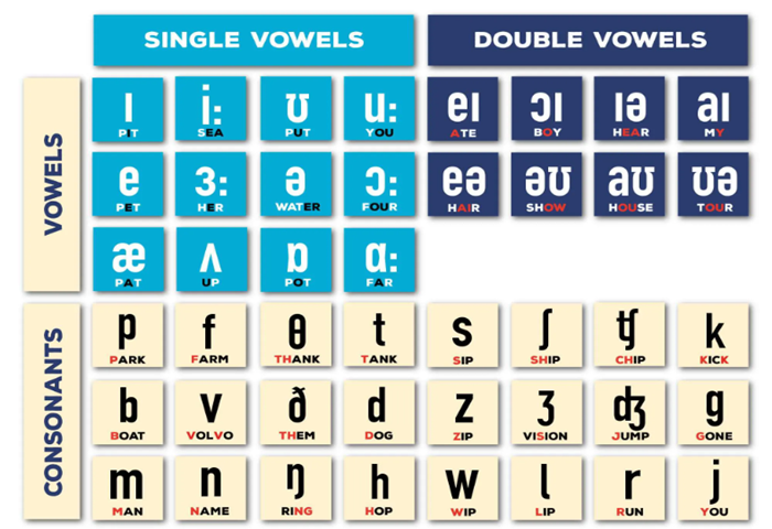 What is phonetics